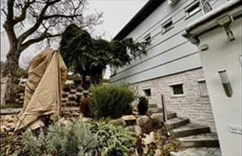 Kiadó Pécsi családi ház hirdetés (76286796)