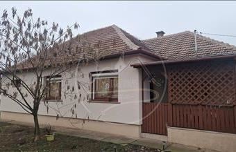 Eladó Eleki családi ház hirdetés (94878818)