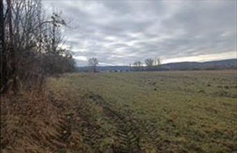 Eladó Pusztavámi lakóövezeti telek hirdetés (37839292)