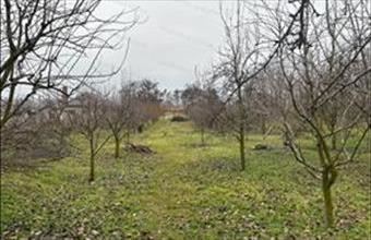 Eladó Cibakházai családi ház hirdetés (33233574)