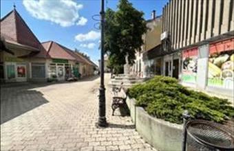 Eladó Kunszentmártoni egyéb üzlethelyiség hirdetés (73975637)
