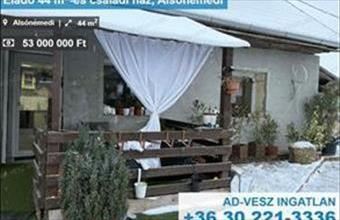 Eladó Alsónémedi családi ház hirdetés (42444429)