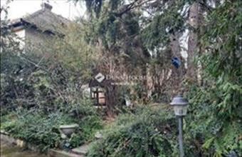 Eladó Budakeszi családi ház hirdetés (43494336)
