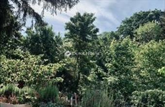 Eladó Budapest XII. kerületi tégla lakás hirdetés (93425959)