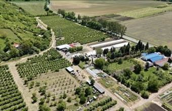 Eladó Putnoki termőföld, szántó hirdetés (58335854)