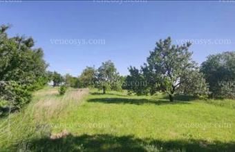 Eladó Sajóvámosi zártkert hirdetés (37767735)