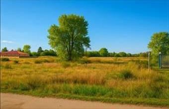 Eladó Dunavarsányi külterületi telek hirdetés (57979395)