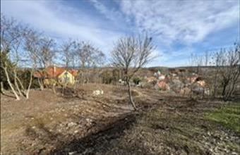 Eladó Sólyi lakóövezeti telek hirdetés (36895765)