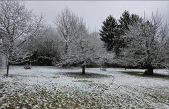 Eladó Budakeszi egyéb telek hirdetés (92374642)