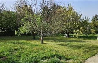 Eladó Budakeszi egyéb telek hirdetés (92374642)