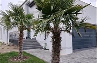 Eladó Budapest XVI. kerületi családi ház hirdetés (24643856)