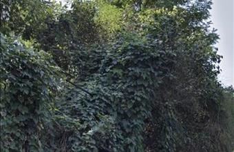 Eladó Mátraterenyei lakóövezeti telek hirdetés (63444475)