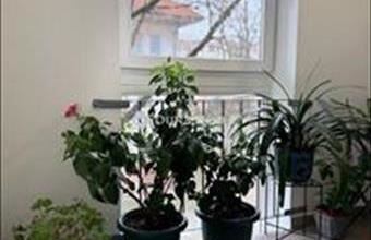 Eladó Budapest X. kerületi tégla lakás hirdetés (63862558)