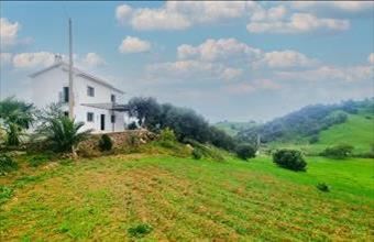 Eladó Spanyolországi tanya hirdetés (35944993)