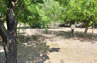 Eladó Újszentiváni lakóövezeti telek hirdetés (96963753)