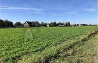 Eladó Domaszéki lakóövezeti telek hirdetés (73369399)