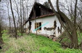 Eladó Jászszentandrási családi ház hirdetés (94347977)