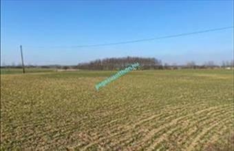 Eladó Tiszaszentimrei egyéb telek hirdetés (53264392)