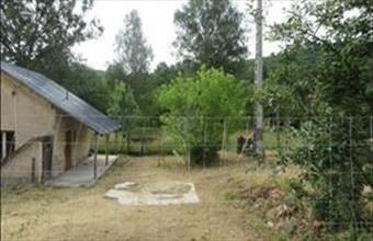 Eladó Királdi családi ház hirdetés (39734544)