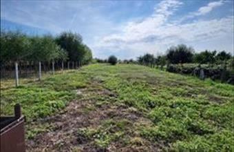 Eladó Tyukodi családi ház hirdetés (24525491)