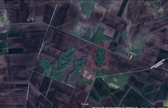 Eladó Tiborszállási termőföld, szántó hirdetés (74444655)