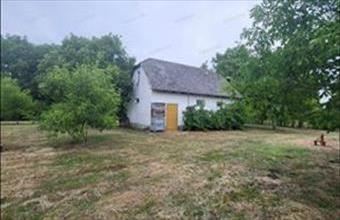 Eladó Mándi termőföld, szántó hirdetés (52229997)