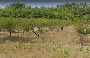 Eladó Fülöpházai külterületi telek hirdetés (96875364)