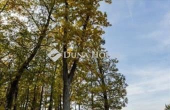 Eladó Felsőtárkányi lakóövezeti telek hirdetés (47561443)