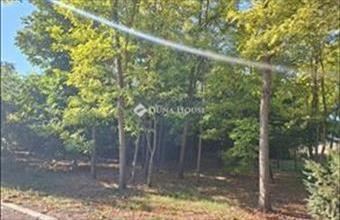 Eladó Bácsborsódi családi ház hirdetés (41954155)