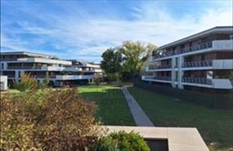 Kiadó Debreceni tégla lakás hirdetés (65441423)