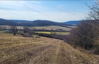 Eladó Balatoncsicsói egyéb mezőgazdasági ingatlan hirdetés (43367696)