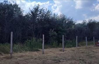 Eladó Lajosmizsei egyéb telek hirdetés (44768311)