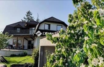 Eladó Szentendrei családi ház hirdetés (99839642)