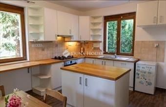 Eladó Szentendrei családi ház hirdetés (92521784)