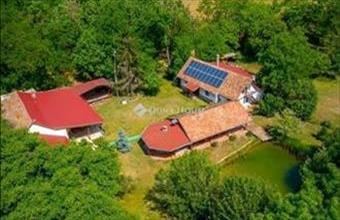 Eladó Pusztavacsi tanya hirdetés (26693739)