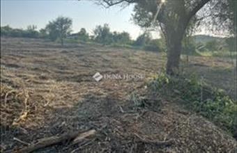 Eladó Tinnyei lakóövezeti telek hirdetés (71598342)