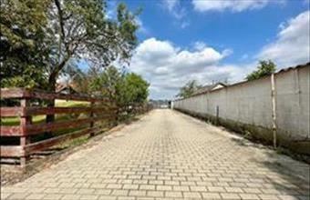 Eladó Mérgesi családi ház hirdetés (37997714)