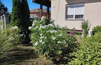 Eladó Balatonlellei családi ház hirdetés (44327443)