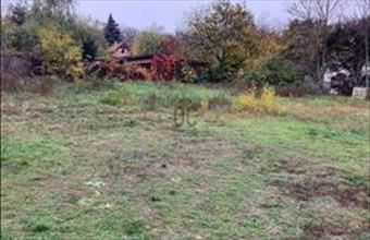 Eladó Mogyoródi külterületi telek hirdetés (44235285)