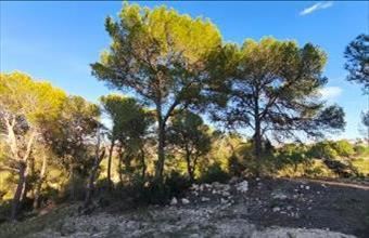 Eladó Spanyolországi lakóövezeti telek hirdetés (87742873)