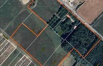 Eladó Csongrádi ipari telek hirdetés (59994952)