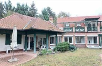 Kiadó Leányfalui családi ház hirdetés (73817482)