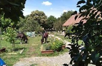 Eladó Somogyhárságyi családi ház hirdetés (16633148)