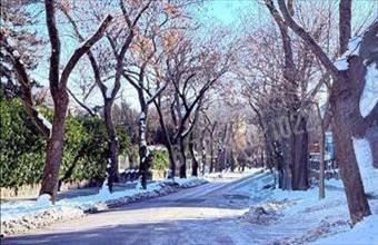 Eladó Budapest XII. kerületi tégla lakás hirdetés (42523596)