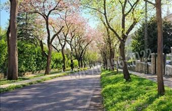 Eladó Budapest XII. kerületi tégla lakás hirdetés (42523596)