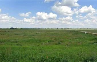 Eladó Vámosszabadi lakóövezeti telek hirdetés (31494353)