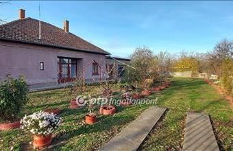 Eladó Tiszakürti családi ház hirdetés (96317234)