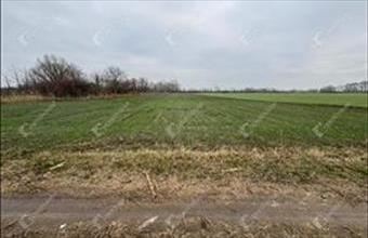 Eladó Csévharaszti külterületi telek hirdetés (74946264)