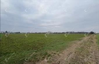 Eladó Csévharaszti külterületi telek hirdetés (93658297)