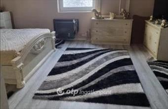 Eladó Szegedi egyéb lakás hirdetés (55312963)